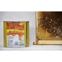 Θυμαρίσιο μέλι Καλύμνου 1850 γρ τενεκές