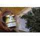 ANTI AGING BEES OINTMENT